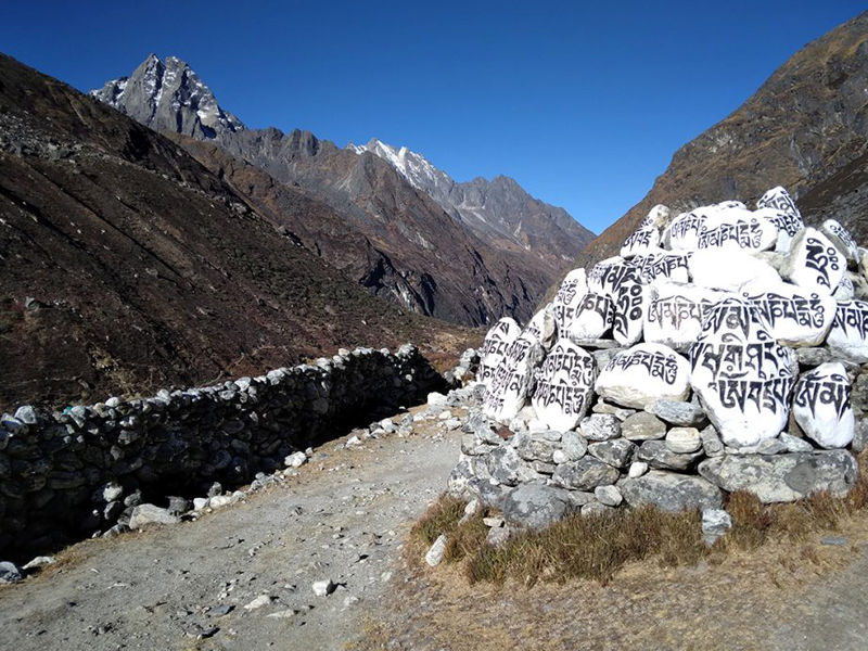 Langtang Trek, Langtang Gosainkunda Trek, Langtang Valley Trekking, Gosainkunda Lake Trek