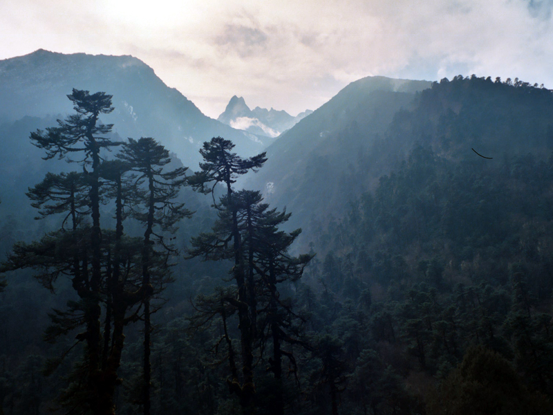 Kanchenjunga yalung glacier trekking cost, Kanchenjunga trek difficulty, Off the beaten trekking trails, Trekking to the Base Camp of Mt. Kanchenjunga, Scenic views of Mt. Kanchenjunga